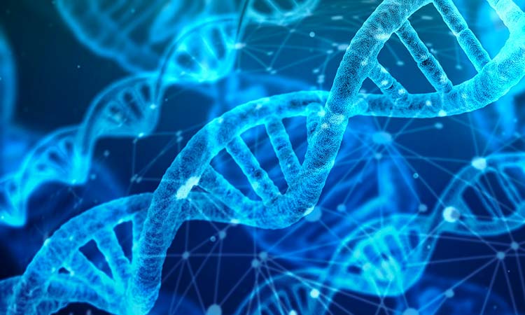 inset-magnification-01